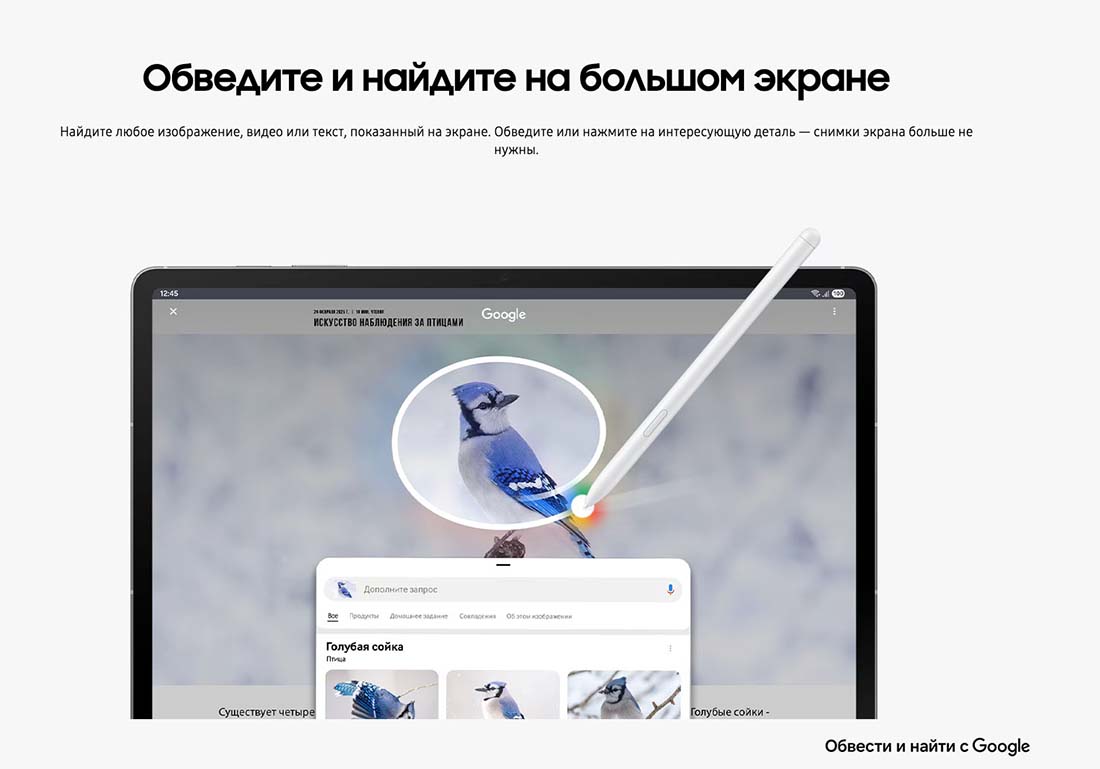 galaxy-tab-s10-fe в Санкт-Петербурге galaxy-tab-s10-fe
