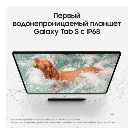 Samsung Galaxy Tab S9 Ultra 14,6" Wi-Fi 16/1Tb Graphite, графит