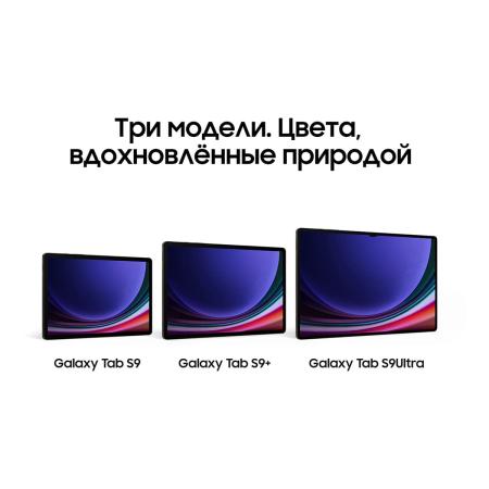 Samsung Galaxy Tab S9 Ultra 14,6" Wi-Fi 12/256Gb Beige, бежевый