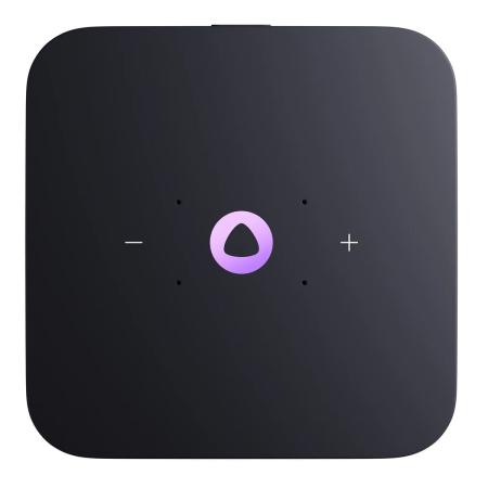 Умная колонка Яндекс.Станция Миди (Алиса) Малиновая