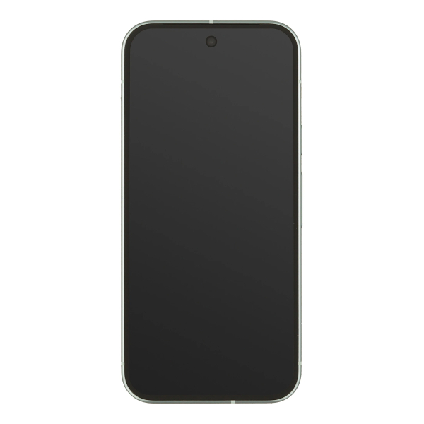 Google Pixel 9 128Gb Wintergreen, зелёный