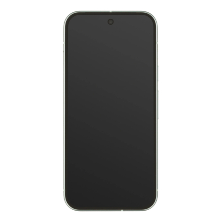 Google Pixel 9 256Gb Wintergreen, зелёный