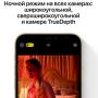 Apple iPhone 12 Pro Max 256Gb Gold, золотой
