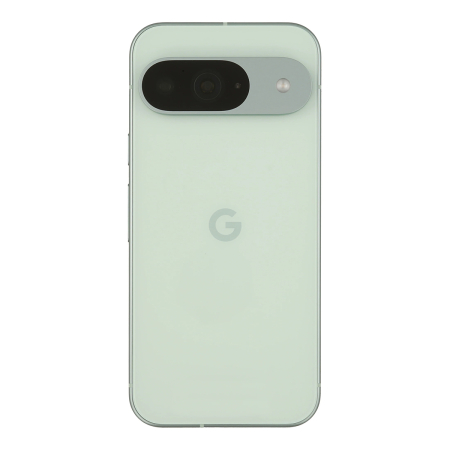 Google Pixel 9 256Gb Wintergreen, зелёный